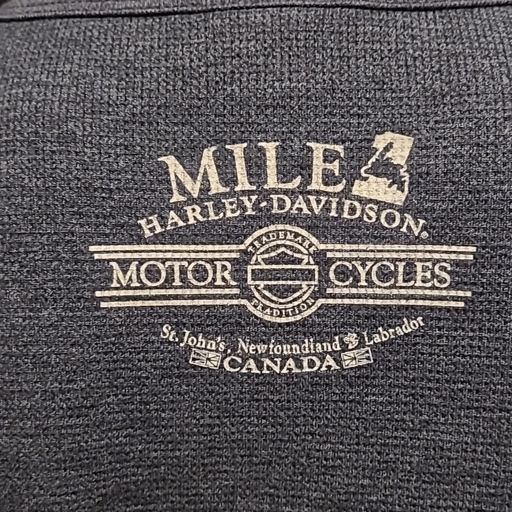 Harley-Davidson Gray Graphic Long Sleeve Tee - Picture 6 of 11